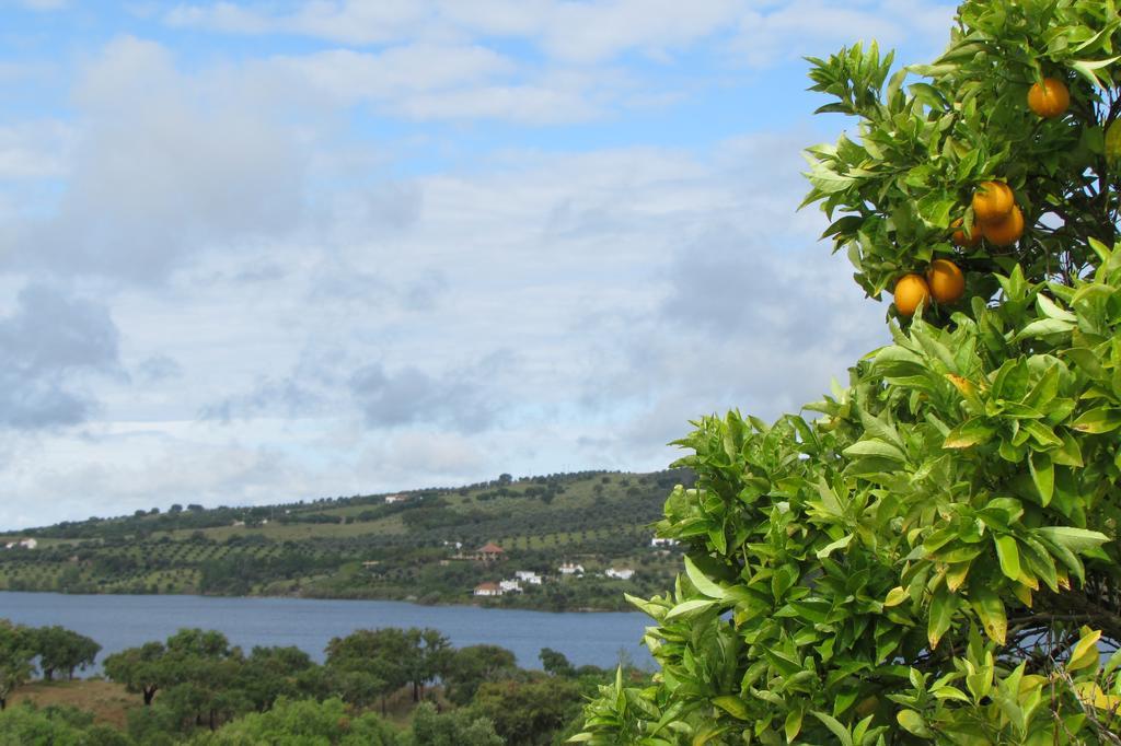 Maison d'hôtes Monte Da Tojeirinha à Montargil Extérieur photo
