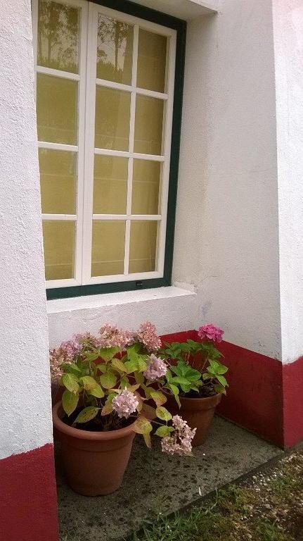 Maison d'hôtes Monte Da Tojeirinha à Montargil Extérieur photo